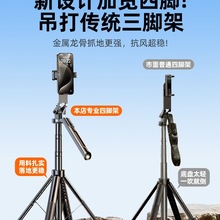 [���S]2024�¿����ėU������_���֙Cͨ����������360�����D�ֳ�