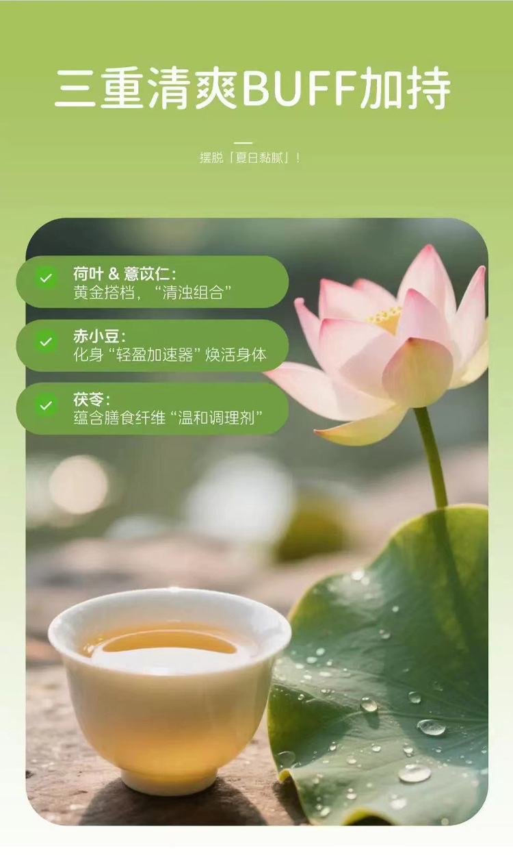 Sanfu Lotus Leaf Tea Bitter Melon Winter Melon Wellness Tea Bags 100g Sugar Free Cold Brew Herbal Blend quality and texture
