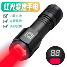 �@ʾ����s�{����� ����t �� �G �{�� ׃�����Ͳ �ɹ℩�����