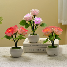 õСҹմ̨[WtŮbõ廨