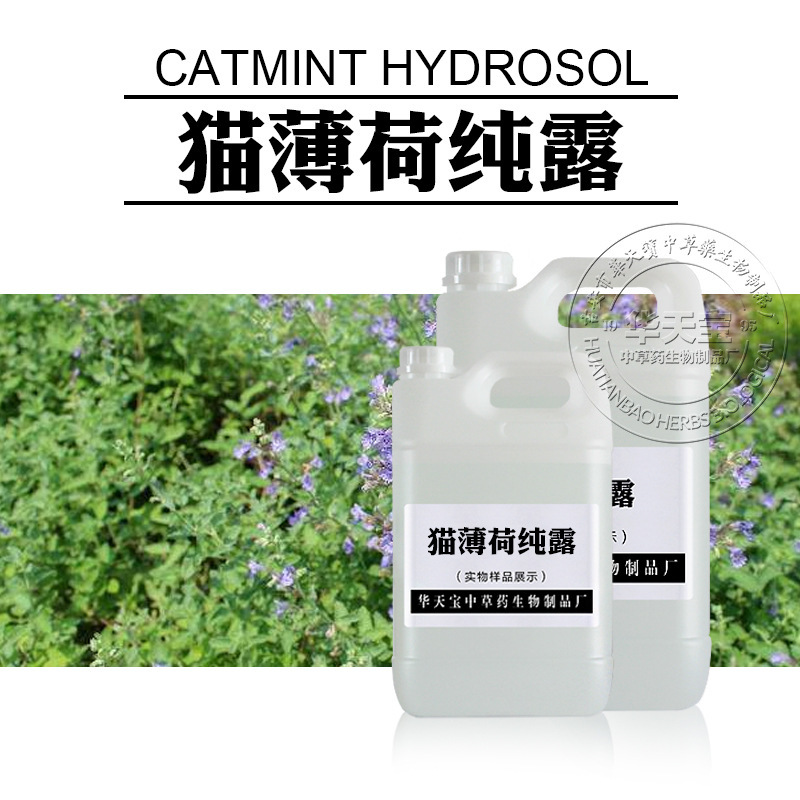 キャットニップ純露 蒸留抽出天然キャットニップエキス 初回抽出飽和花水原料メーカー卸売|undefined