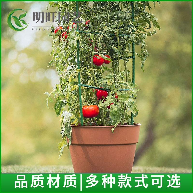 Soporte de tomate soporte de flor soporte de tomate planta de jardín tubo de acero recubierto de plástico soporte de uva Rosa Stand balcón