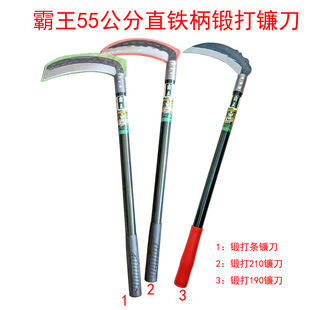 ����55����ֱ�F��呴�砵� �r��砵� ���砵�