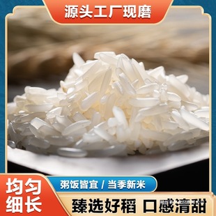 �z����؈�����L�������r�Ҵ������m��ԇ�����ʳ����������Ŵ��