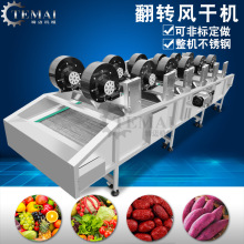 供应包装袋风干机 芒果软包装食品风干机 大枣清洗风干机设备