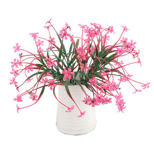 �¿����ֲ�����\��С�Gֲ�bٻ�õ�廨С�r��ˮ���m��diy���
