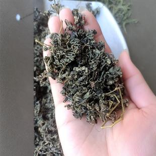 500�����lɢ�b��ɽg���{�~�g���Ϸ��˅����~đ,С��ș���_偵�