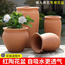 ͸��t�ջ����ڏ���Ͳ����÷���Է����Ϙ�ͥԺ�մ���}���l