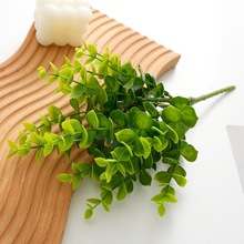 ��˹�������~�ȼ����G�}�~����ֲ���c�b��滨���Gֲ�߷���