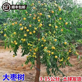 �ش󗗘���玧�����Ϙ�����մ������ͥԺ�������Ե��Խ�z������