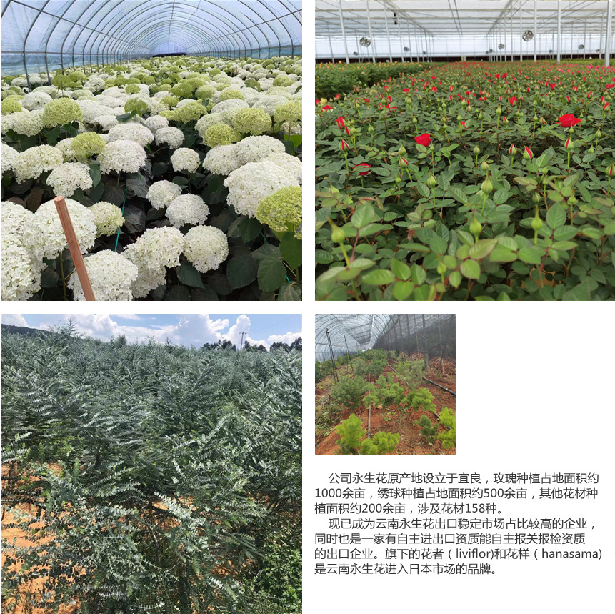 微信图片_20230616111007