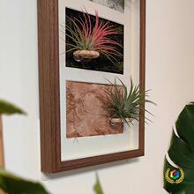 ?�������[̨ľ�|�՚��P��M�Ϯ�������젝�b��չʾ�տ������