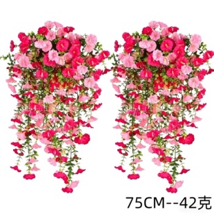 �羳5���ȼ������pɫ45Ŀ��ţ�������������Ȼ��Ҿӻ�Y���滨ͥ