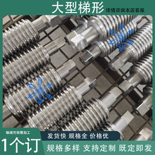 TͽzUzֱ70 80 100 120 160 180 200󌧳