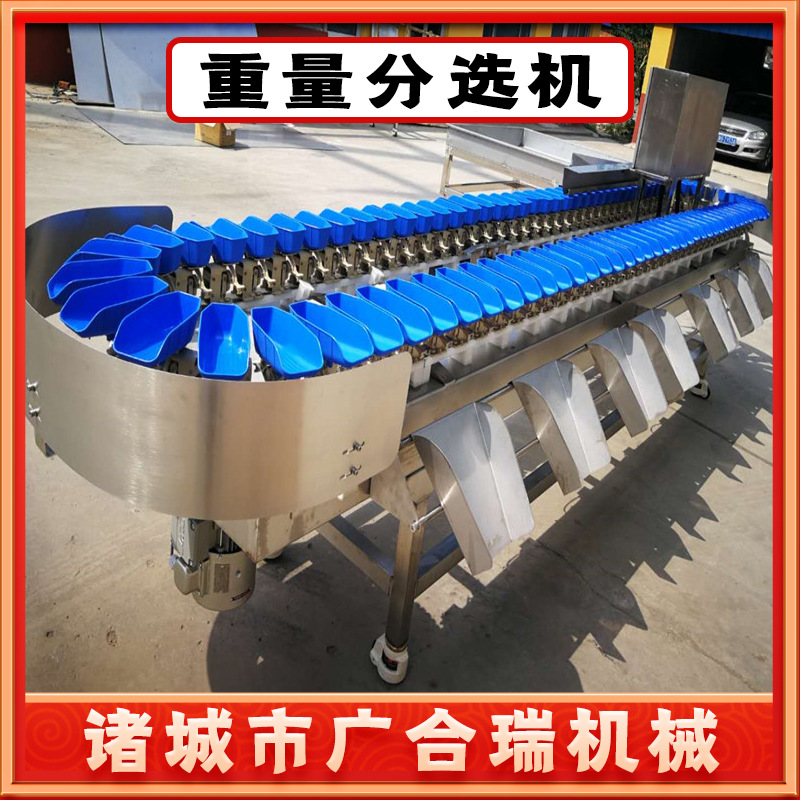 小龙虾重量分选机 海参海蛎子称重分级设备 转盘式家禽鱼类分选机