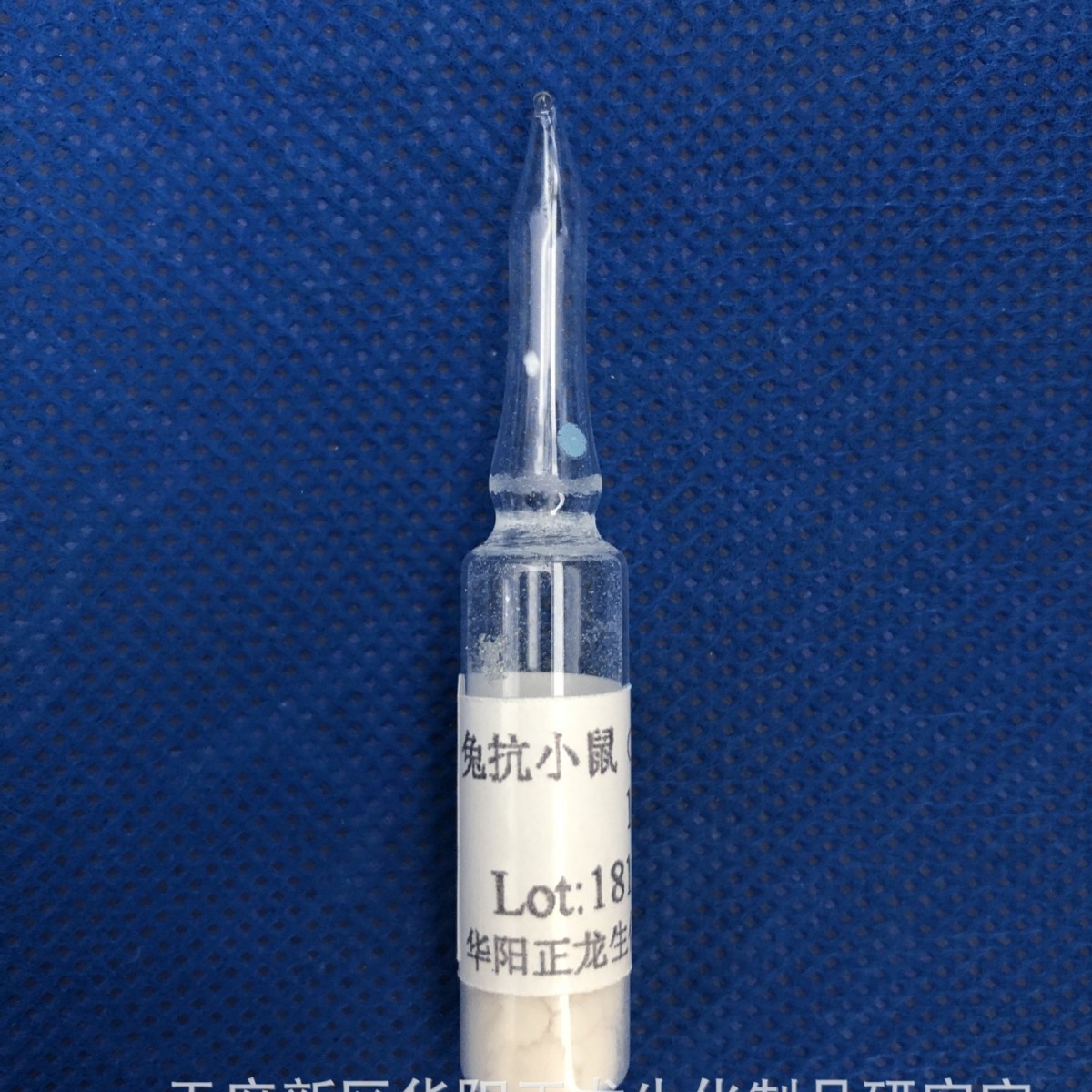 �ÿ�С��Ba/C��IgGѪ��