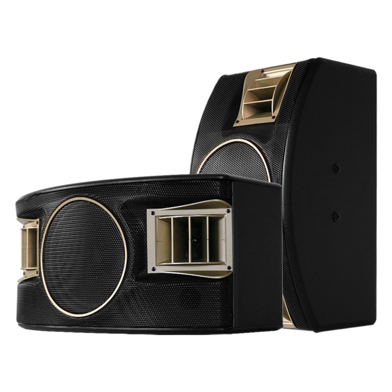 Al por mayor personalizado BMB 10-pulgadas titular de la tarjeta profesional altavoz al aire libre transmisión en vivo karaoke en casa familia KTV audio traje