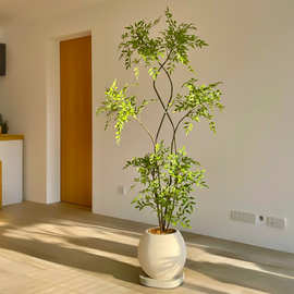 海虹景品南天竹仿真绿植高端轻奢室内客厅仿生花假树大型落地盆栽