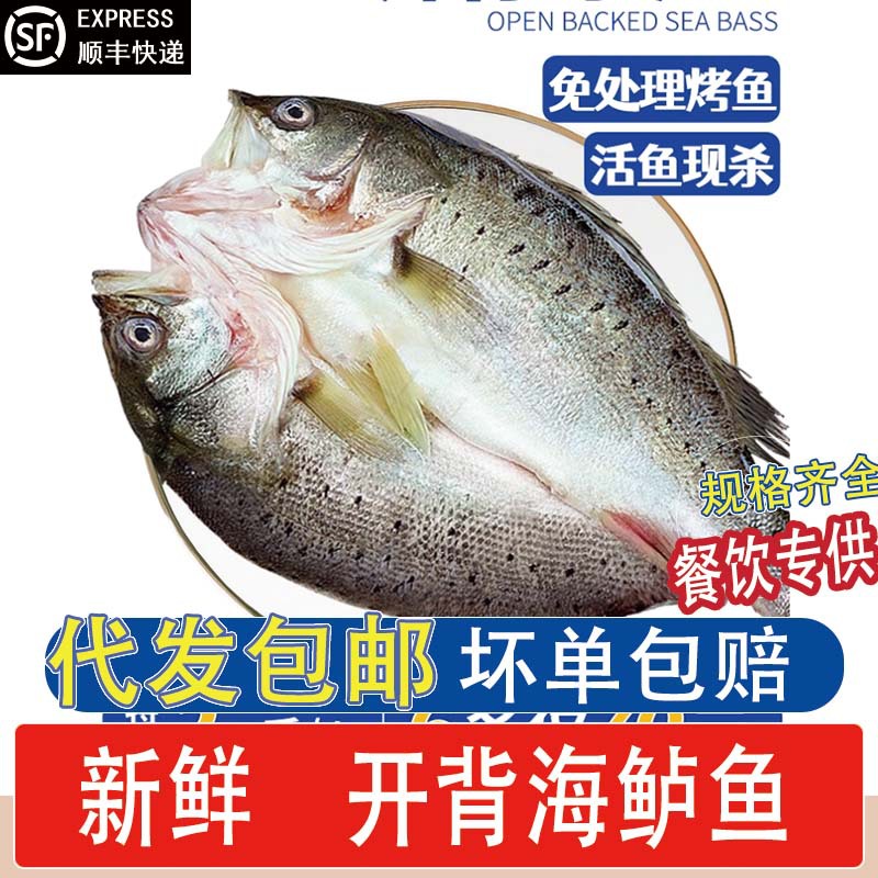 海鲈鱼开背新鲜冷冻鲜活鲈鱼烤鱼白蕉纸包鱼七星海卢鱼半成品商用