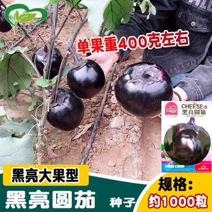 �Ѓ������A�ѷN�� ������������ѷN�� �ˈ@�r���̨�����׷N�߲�