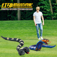 仿真遥控蛇恐龙爬行动物吓人昆虫整蛊恶搞解压电动益智男孩玩具