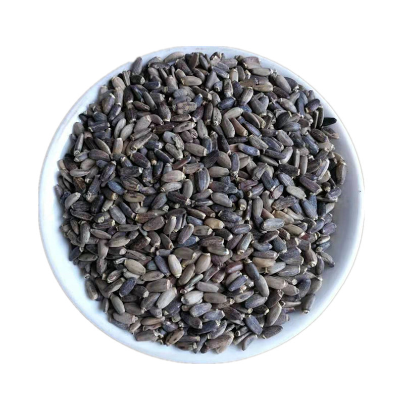 Milk Thistle Seeds (Silybum marianum) — Dried Shui Fei Ji Food Herb, 500g in use