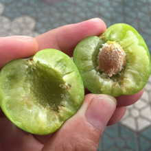 �������Ә���޽ӟo��������������÷���������ϱ����N�������