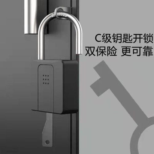 P616 wholesale fingerprint padlock outdoor waterproof and rust-proof home anti-theft door small head courtyard remote fingerprint password
