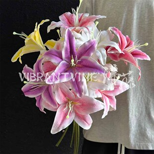 �ָ��p�^��ٺϷ��滨�������û�Y�Ƶ���̨�����b������üٻ�