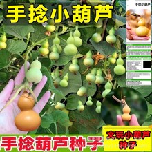 JN^pСJNѾƺJNԭbļ߲˷NӴȫl