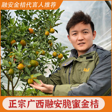 ���ڰ���۴��������]�����۽�̵�������ۮ������r���𮔼����]