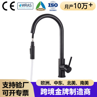 Cross-Border Kitchen Pull-Out Faucet 304 Stainless Steel Main Body Hot and Cold Faucet Scandinavian Vegetable Sink Retractable