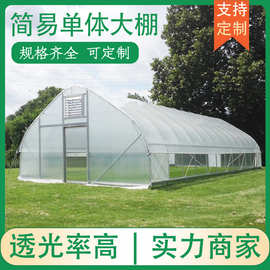 农业温室大棚单体拱棚蔬菜水果种植大棚骨架单体薄膜温室大棚