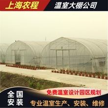 联合八型单体钢架大棚 浙江温室设备 联合八型单体蔬菜大棚