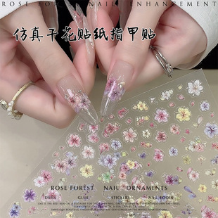 �¿�̽������N����ɫС�ɻ����w���滨�䱳�zDIYָ���b�Ʒ�N��