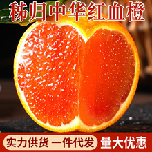 血橙中华红心橙子大件批发当季新鲜整箱香橙甜橙手剥斤时令水果