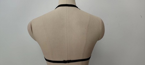 Sexy lingerie for women European and American foreign trade sexy strappy halterneck hollow see-through temptation bra wholesale dropshipping 1600