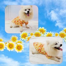 狗狗衬衫衣服春夏东南亚工厂代发新品2022年宠物服装