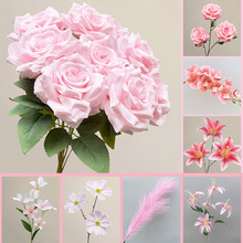 ���滨��c�û���ɫɫϵõ�廨�����m��ɫ������羳���l�ٻ��b�