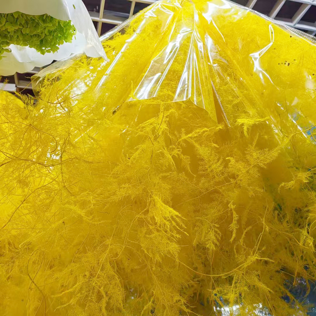 Kuning cerah (1 ikat 5)