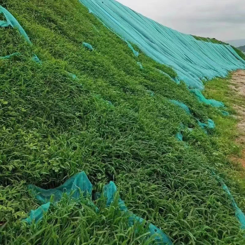 027b8a7686d1f25fb8f8ad2e554a31