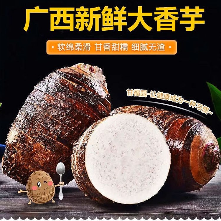 荔浦大芋头新鲜农家粉糯香芋广西特产槟榔芋当季蔬菜毛芋紫藤芋