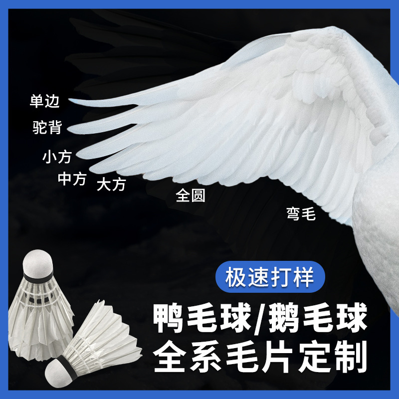 Duck Feather Badminton Indoor and Outdoor Competition Training Durable and Stable Badminton Source Factory Goose Feather Badminton Customization Duck Feather Badminton Indoor and Outdoor Competition Training Durable and Stable Badminton Source Factory Goose Feather Badminton Customization