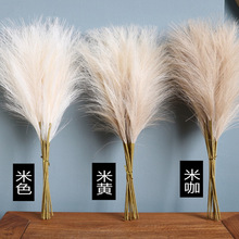 ���W�W�t�����ɻ��JȔ�ٻ��Д[�����͏d�҃Ȼ�ˇ�廨�쾰