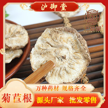 大货菊苣 菊苣根 辣根 菊苣根片 可按要求磨菊苣根