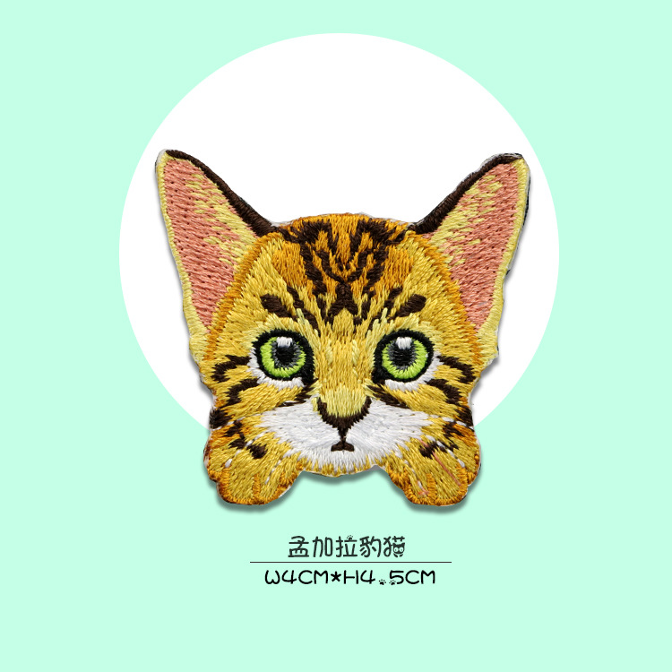 孟加拉豹猫.jpg
