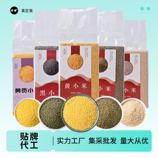 �����SС������s�ZС�S�����С����ּZ����lɢ�b����b�SС��