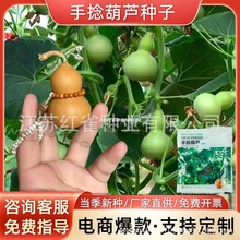 С�������J�N��ͥԺ�̨����ֲ��N�������ļ��Nֲ�҃ȾGɫ���J��