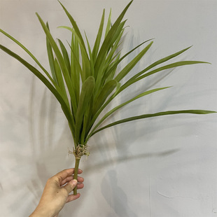 ������m�� �m����ֲ�����m���~����ާ��~ˮ�����ψ@���b�