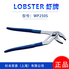 LOBSTERr    ˮQ/ˮQ  WP200H/WP250H/WP300H